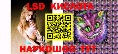 бошки Сланцы