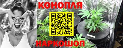 бошки Сланцы