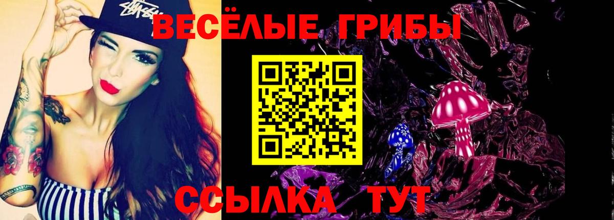 Галлюциногенные грибы мицелий Павловский Посад