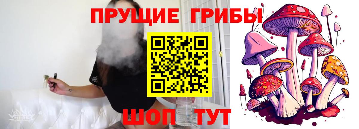 Галлюциногенные грибы GOLDEN TEACHER  Вход с VPN  Павловский Посад 